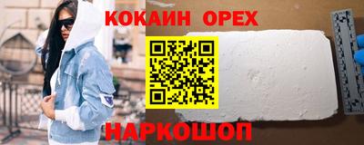 крисы Пенза