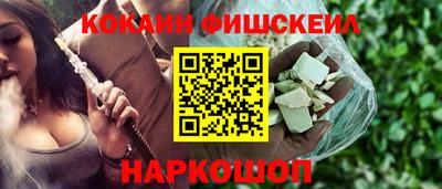 крисы Пенза