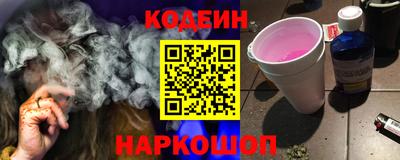 крисы Пенза