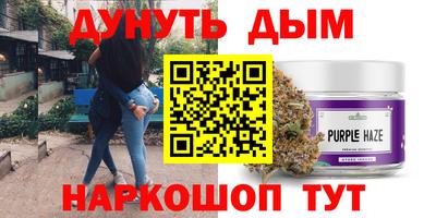 крисы Пенза