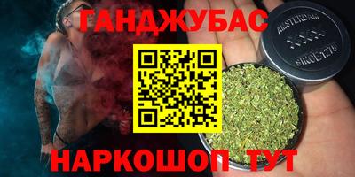 крисы Пенза