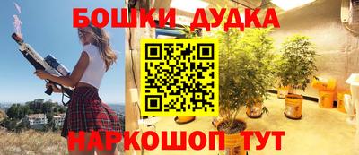 крисы Пенза