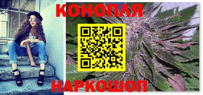 крисы Пенза