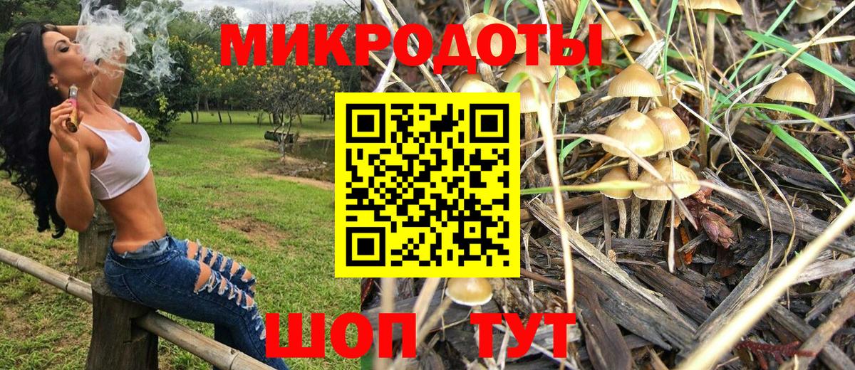 Светлоград  Псилоцибиновые грибы Psilocybe  Вход с VPN 